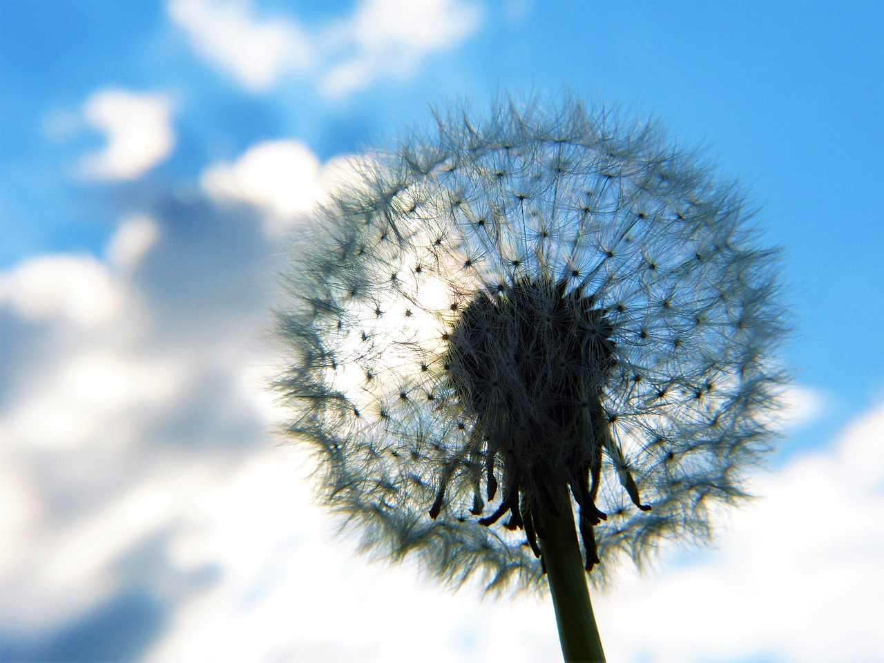 Nurturing Mindfulness through Craft Activities for Kids